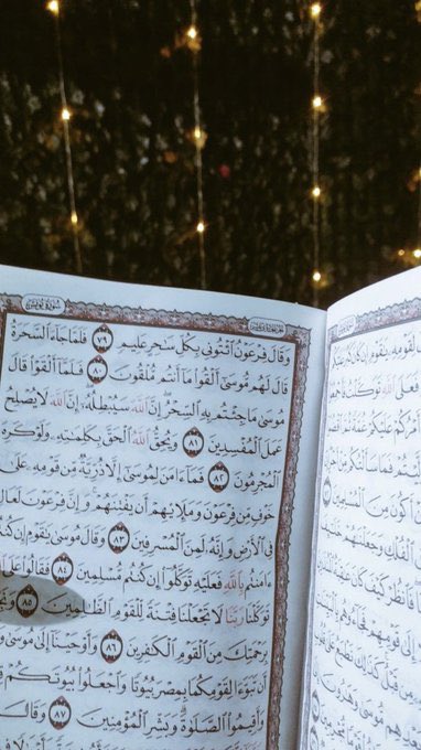 𝙳𝙰𝙻𝙰𝙻 |🫀 tweet media