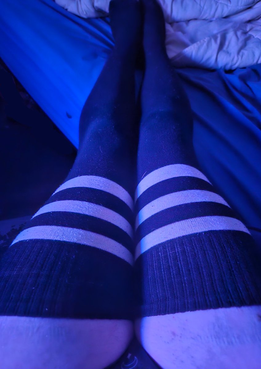 LunarniVT 🏳️‍⚧️ | Dream Dragon Vtuber 🐉🌌 tweet media