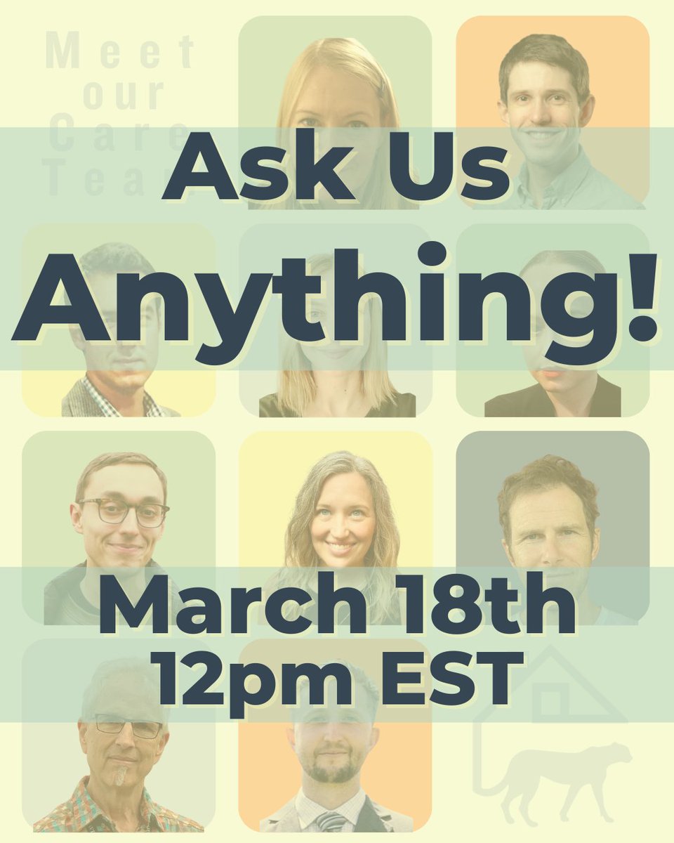 Cheetah House tweet media