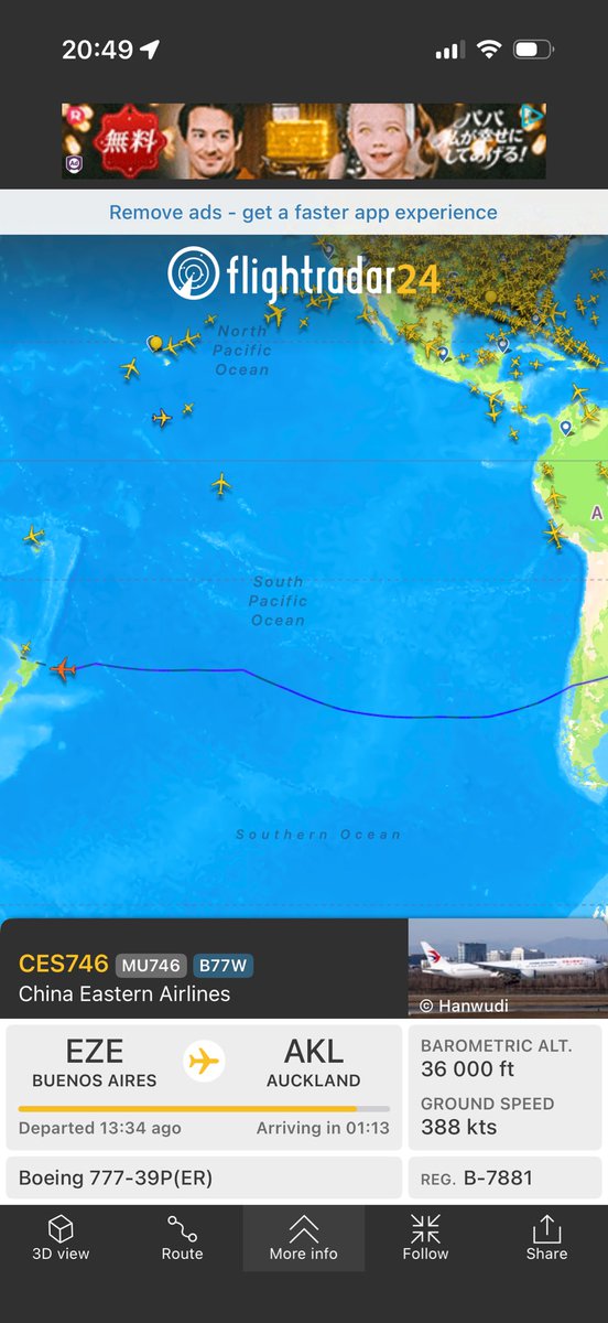краСивият Кардинал tweet media