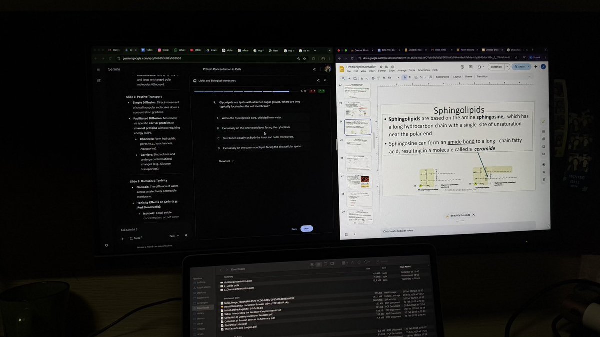 ice tweet media