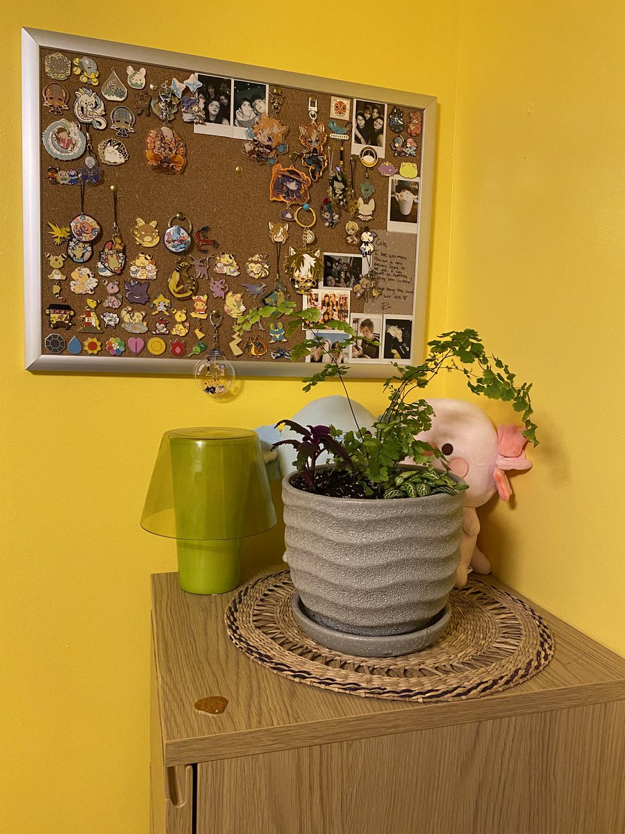 Cole @ Coms closed! tweet media