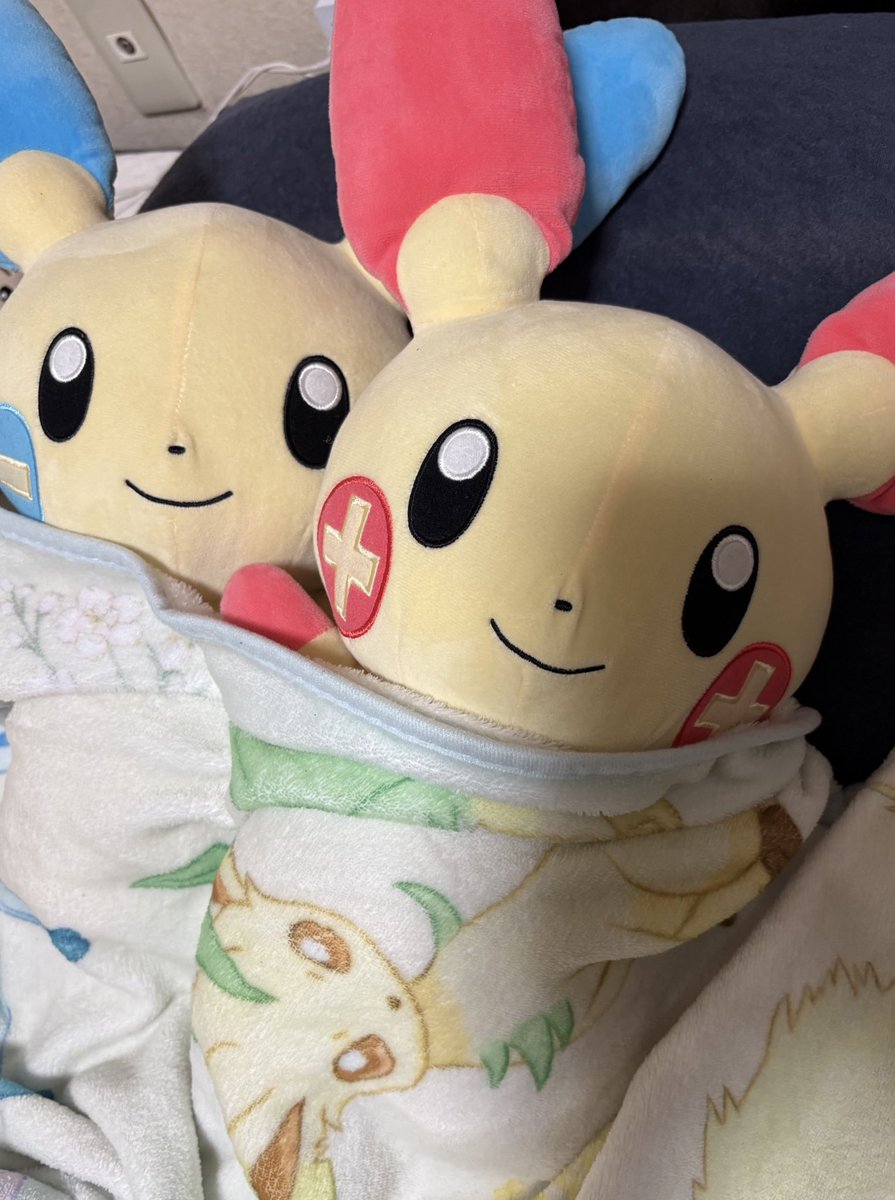 プラマイ日記 tweet media