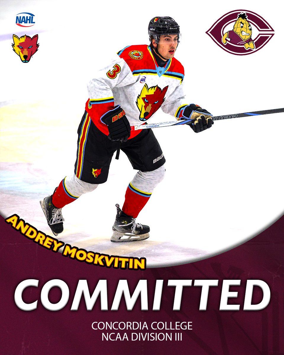 New Mexico Ice Wolves tweet media