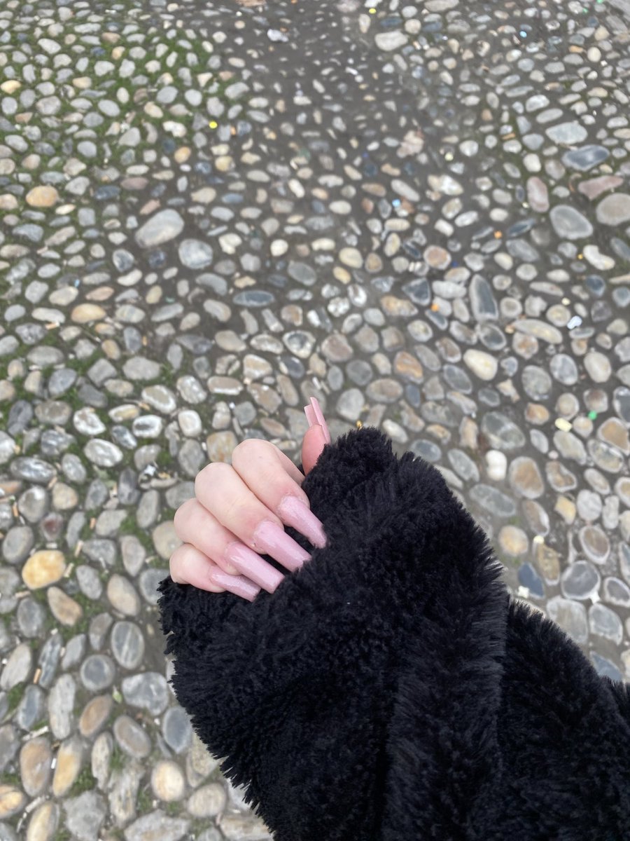 🐈‍⬛ tweet media