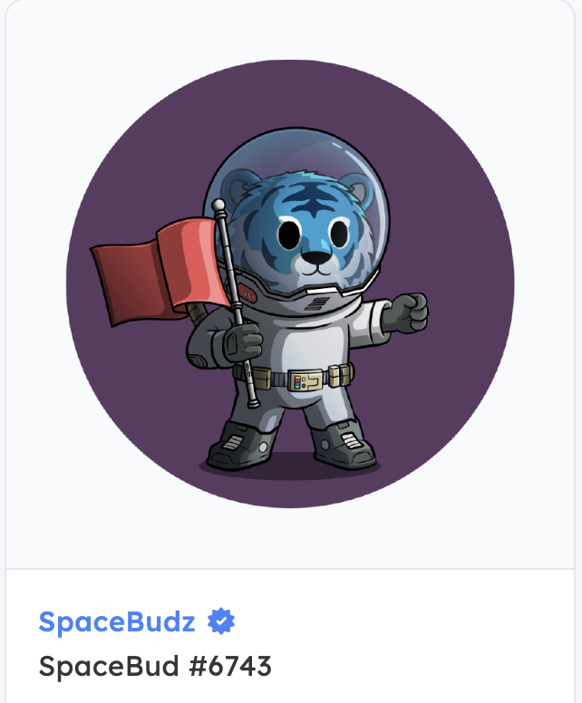 Bizarre Stars tweet media