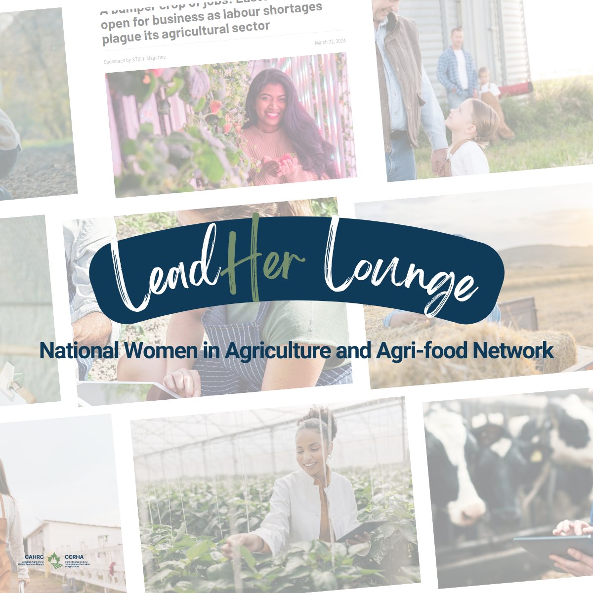 CAHRC - CCRHA tweet media