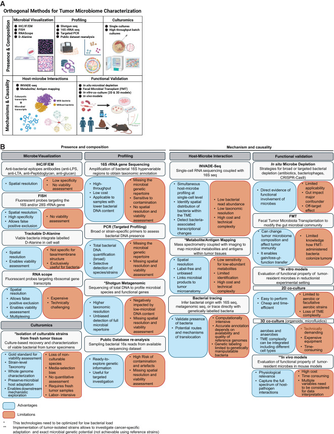 Cancer Cell tweet media