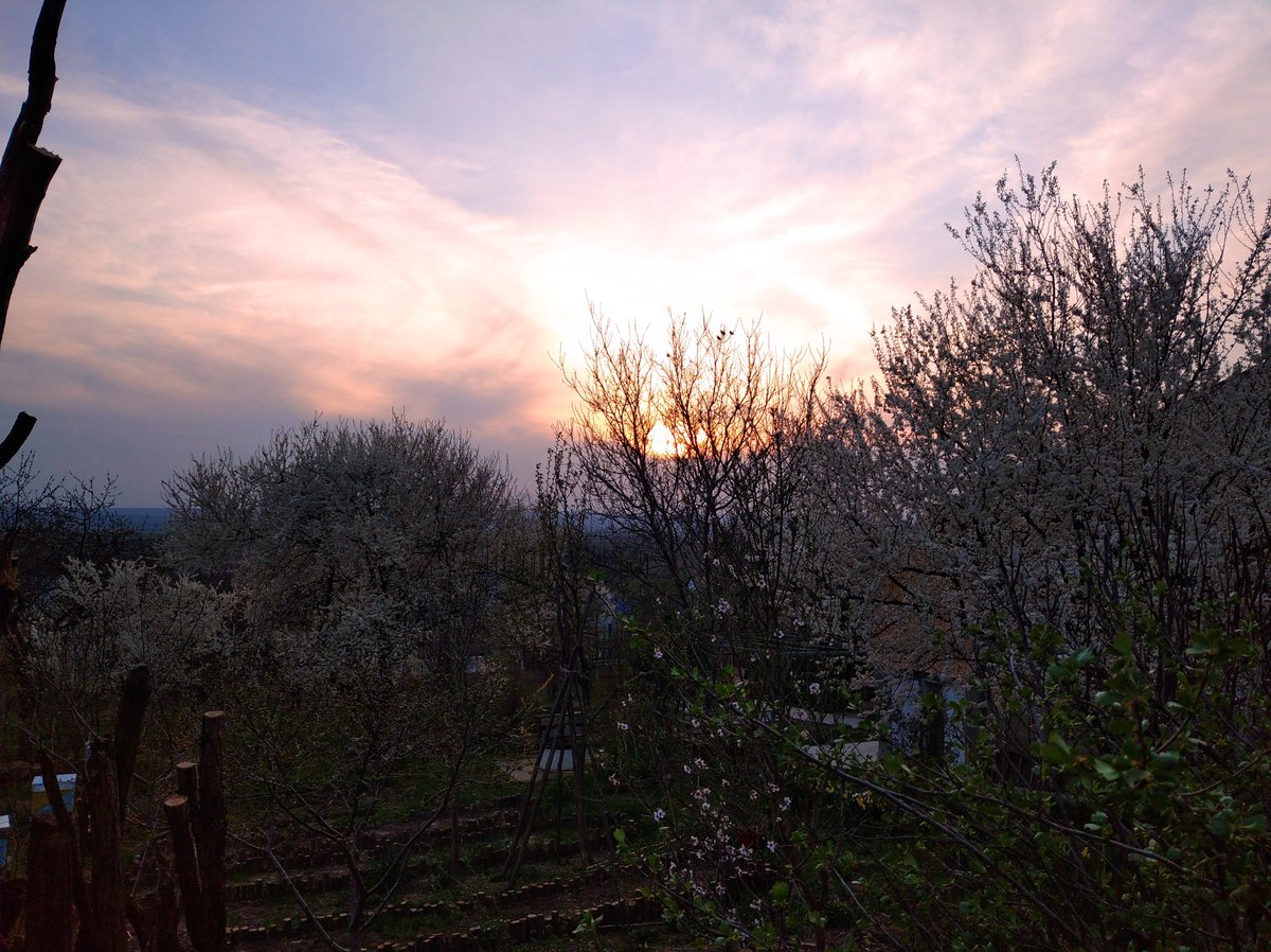 atcostel's tweet photo. Travel to Moldova! EcoCostel - Google it! #travel #Moldova #EcoCostel #hostel https://t.co/KITcDMCaZg https://t.co/7MFjdrOvA8