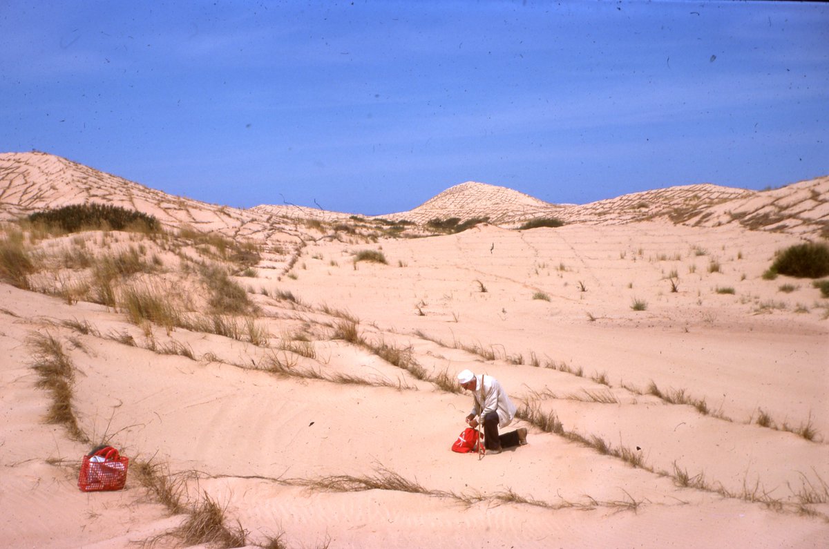 BILNAS🏺📜📚🇱🇾 tweet media