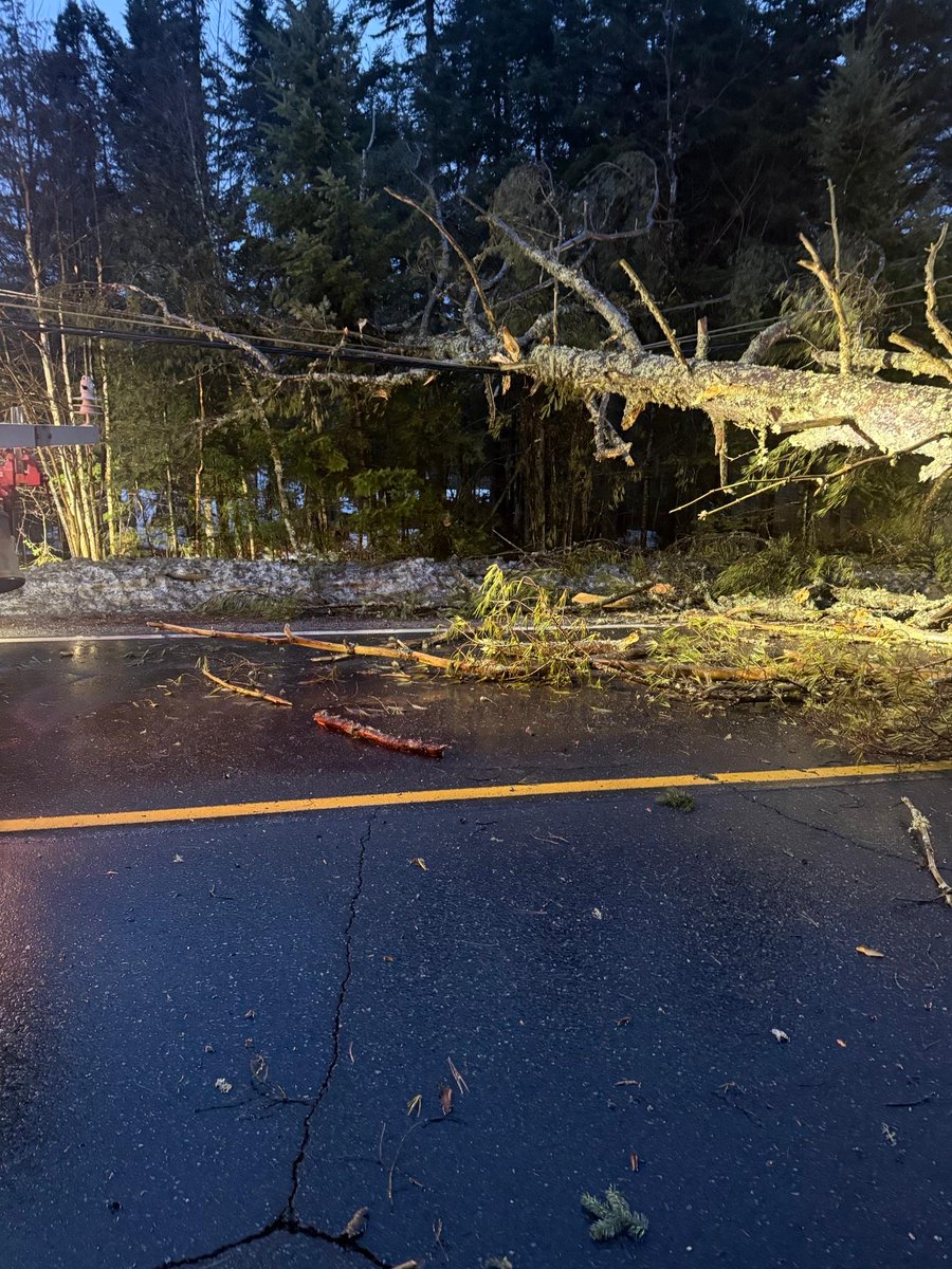 Eversource NH tweet media