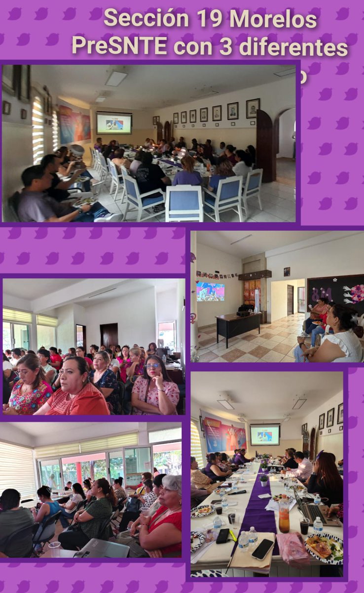 Sria. Equidad de Genero y Derechos Humanos tweet media