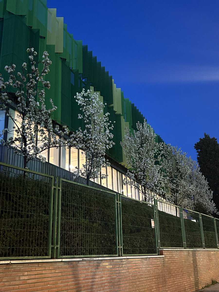 Alberto Madrid tweet media