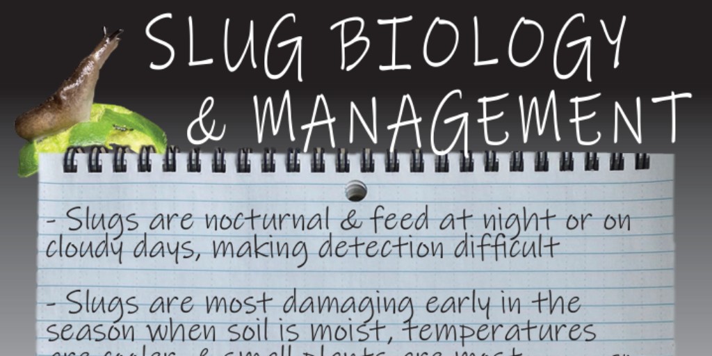 Ohio Soybean Council tweet media