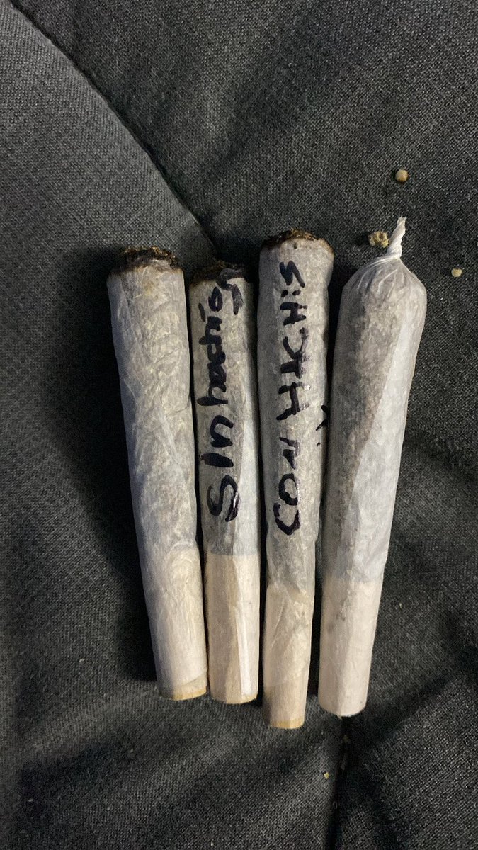 dirty kitten tweet media