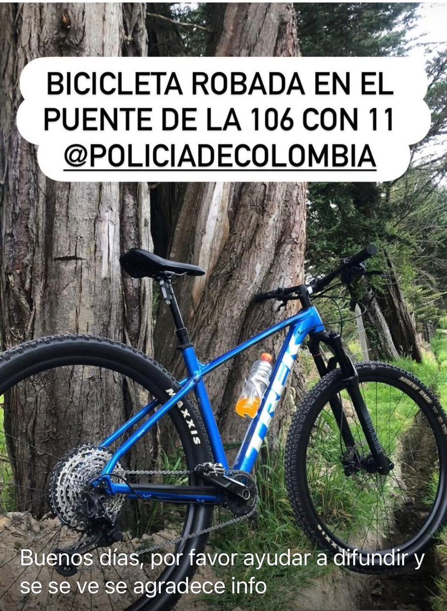 Diego Maldonado tweet media