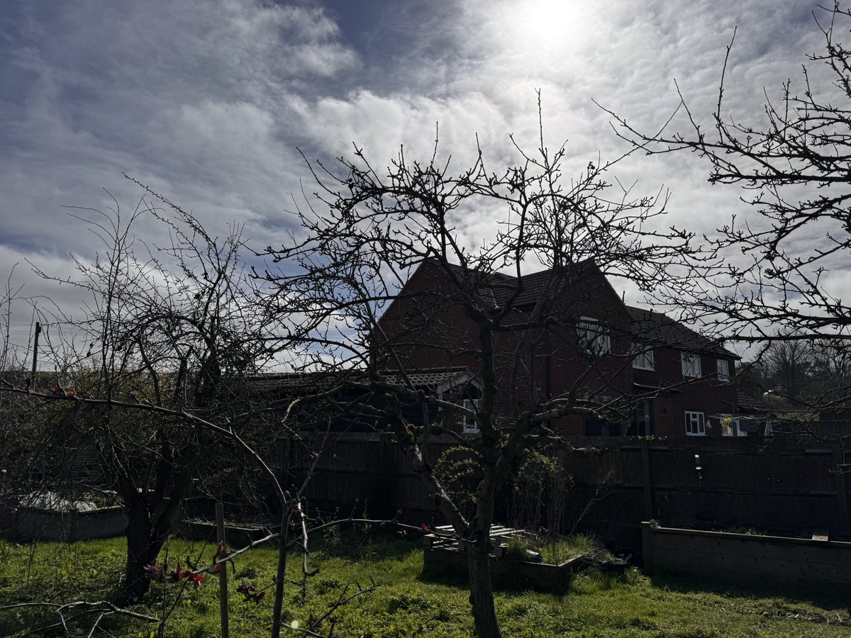 DH Maintenance tweet media