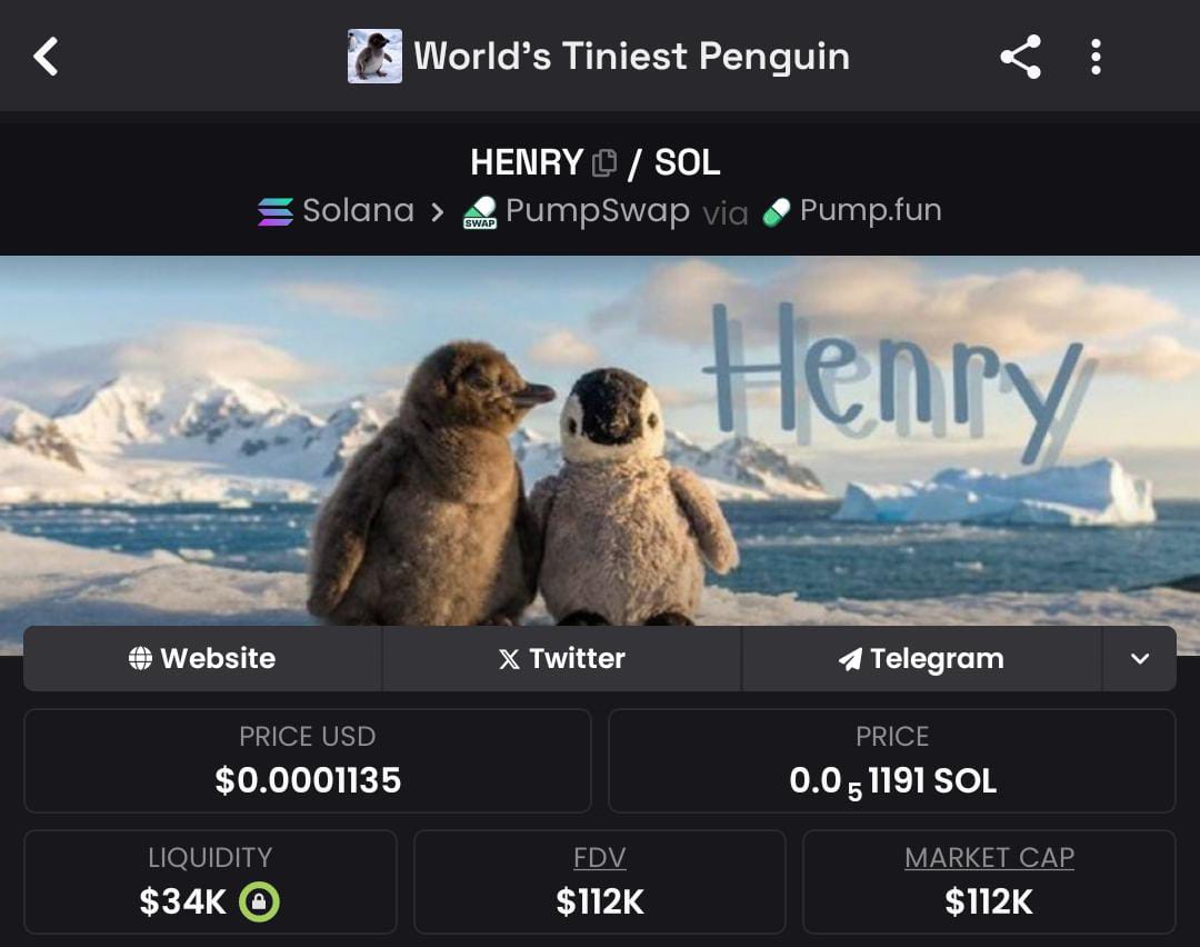 Whitecryptogold's tweet image. If there is any coin on Solana chain am confident on is $Henry

I am certainly sure Henry will hit #10x from here
✅

Ca
865GVDdESzXiNvygSUt7yFeJLrXDyn5UpGNfYuxfpump

#Sol #100x #100xgem