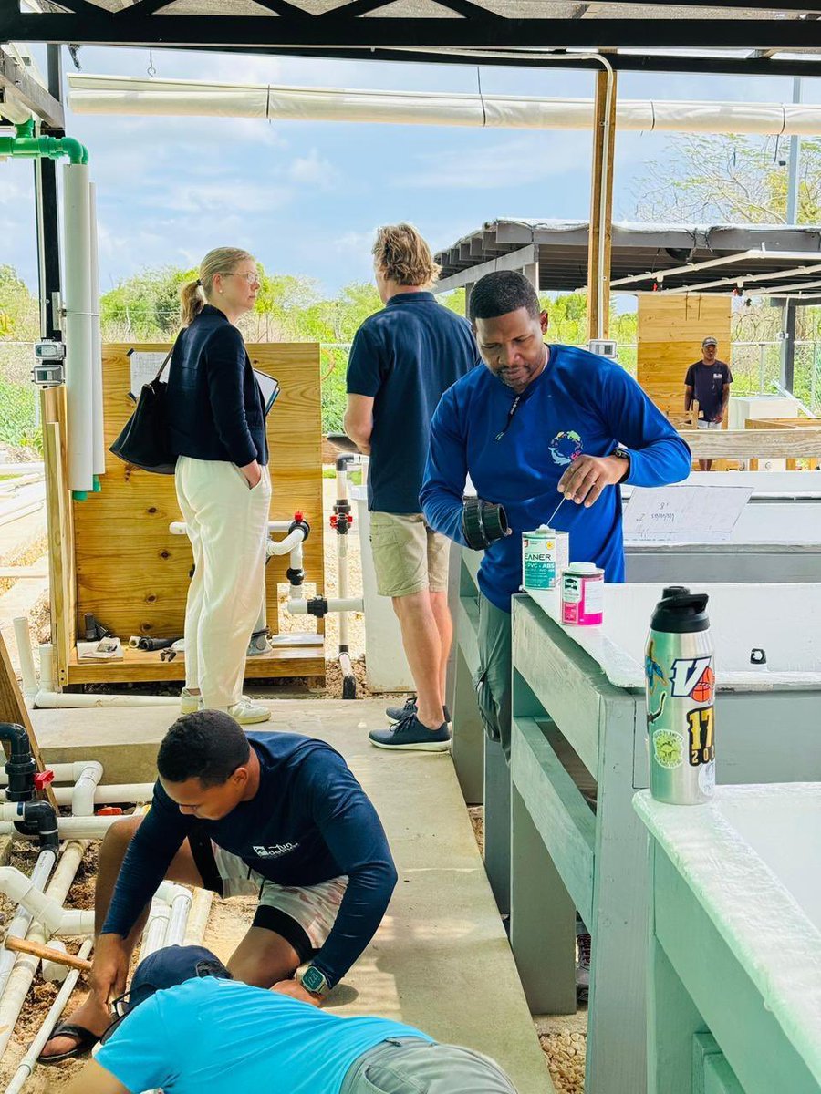 Rachel Moseley tweet media