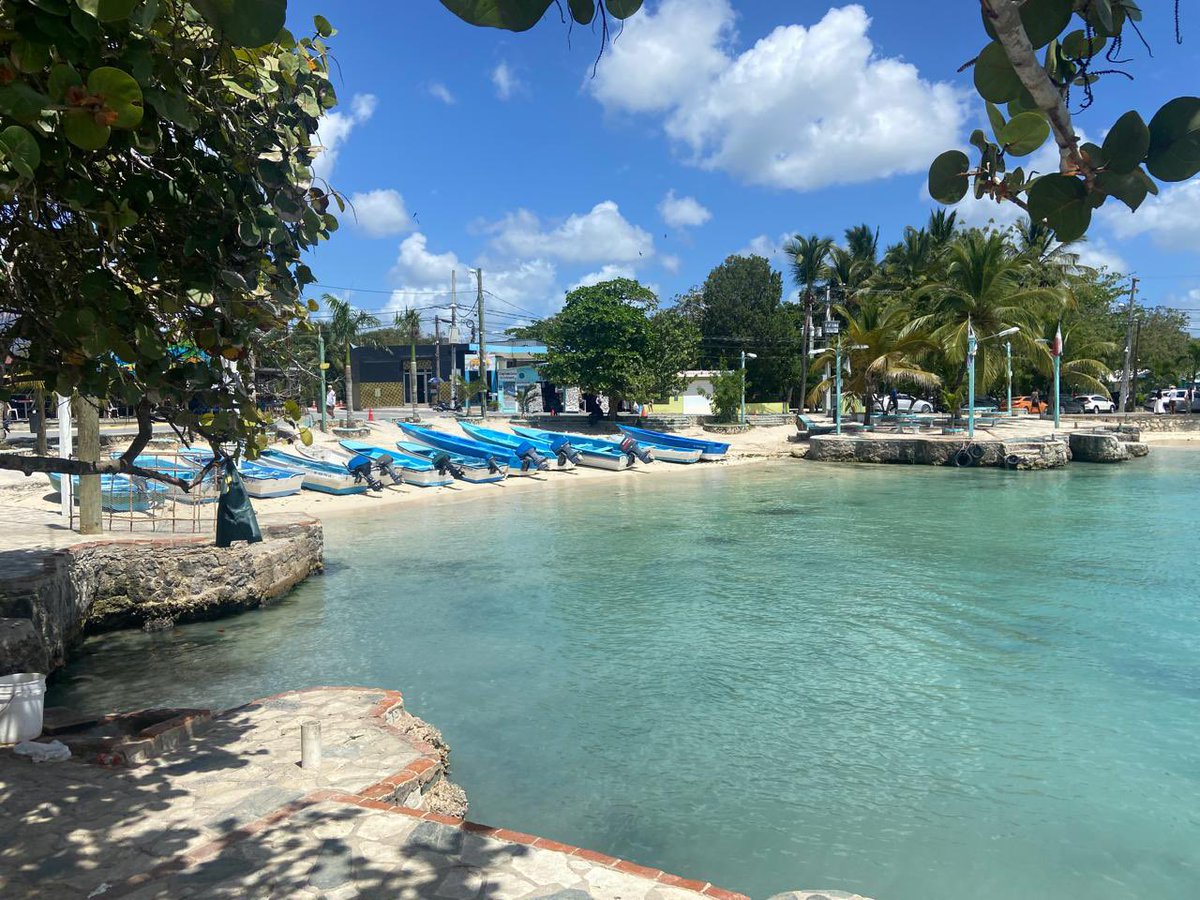 Rachel Moseley tweet media