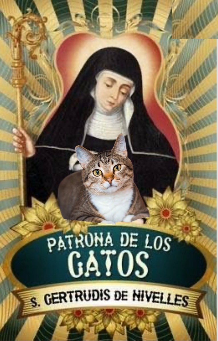 KonsaKane1's tweet photo. Patrona de los Gatos 🐈‍⬛ https://t.co/iNjNenZthG
