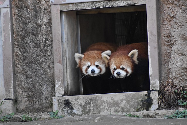 Chamar Garrett tweet media