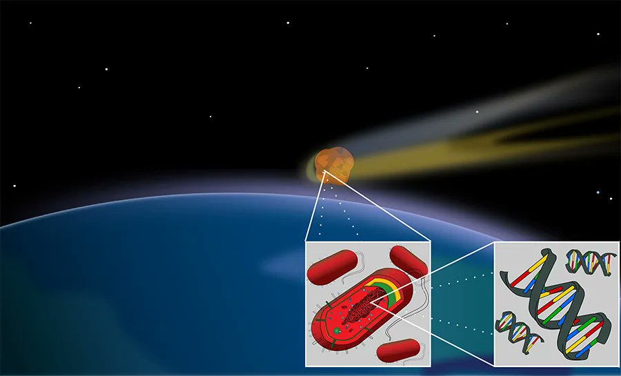 Panspermia ✅