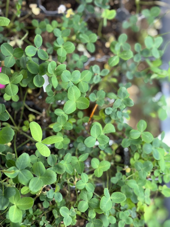 Cincinnati Zoo tweet media