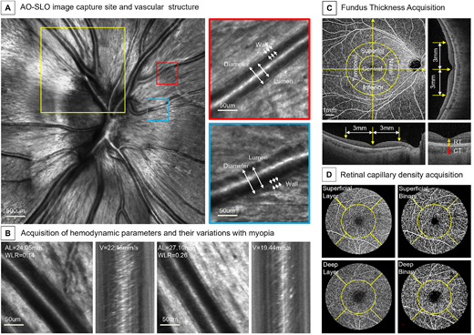 IOVS Journal tweet media