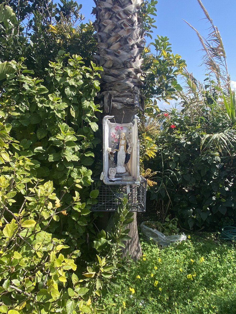 kats_version's tweet photo. Sicilian spring 🇮🇹 https://t.co/SaBclSGemm