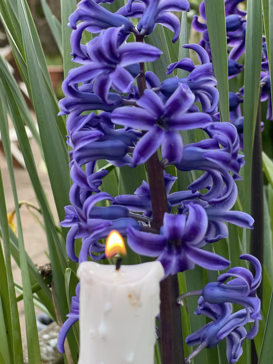 Donald Macaskill tweet media