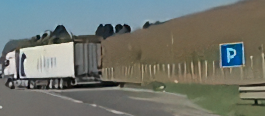 fùckElon tweet media