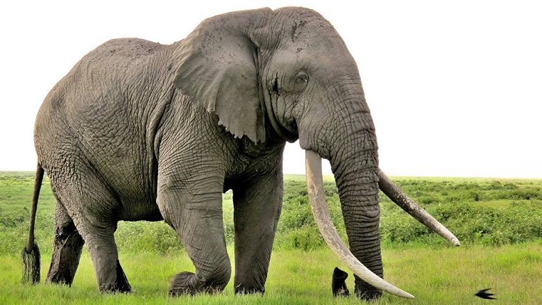 prospect tweet media