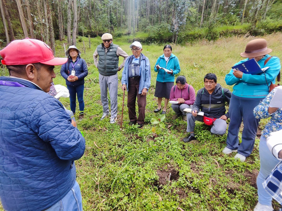 Agricultura_CZ2's tweet photo. #Pichincha| Impulsamos una crianza de cuyes más eficiente y sostenible.

Productores de Quito aprendieron a  producir con:
🔹 Menos antibióticos 💊🚫
🔹 Menor erosión del suelo 🌍
🔹 Alimentación a base de pasto y forraje 🌾
#ElNuevoEcuador https://t.co/S5YcGI7mQx