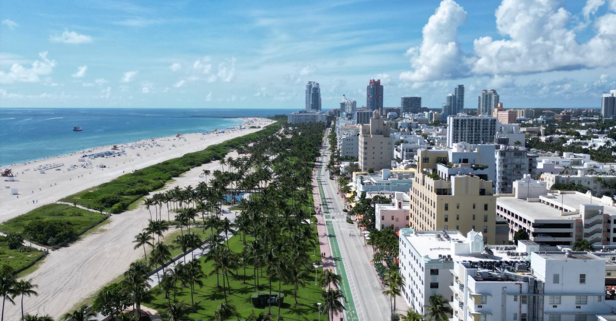 The Miami Guide tweet media