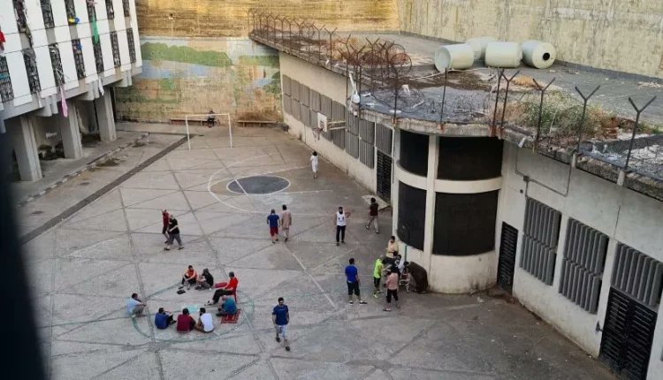 NORTH PRESS AGENCY - ENGLISH tweet media