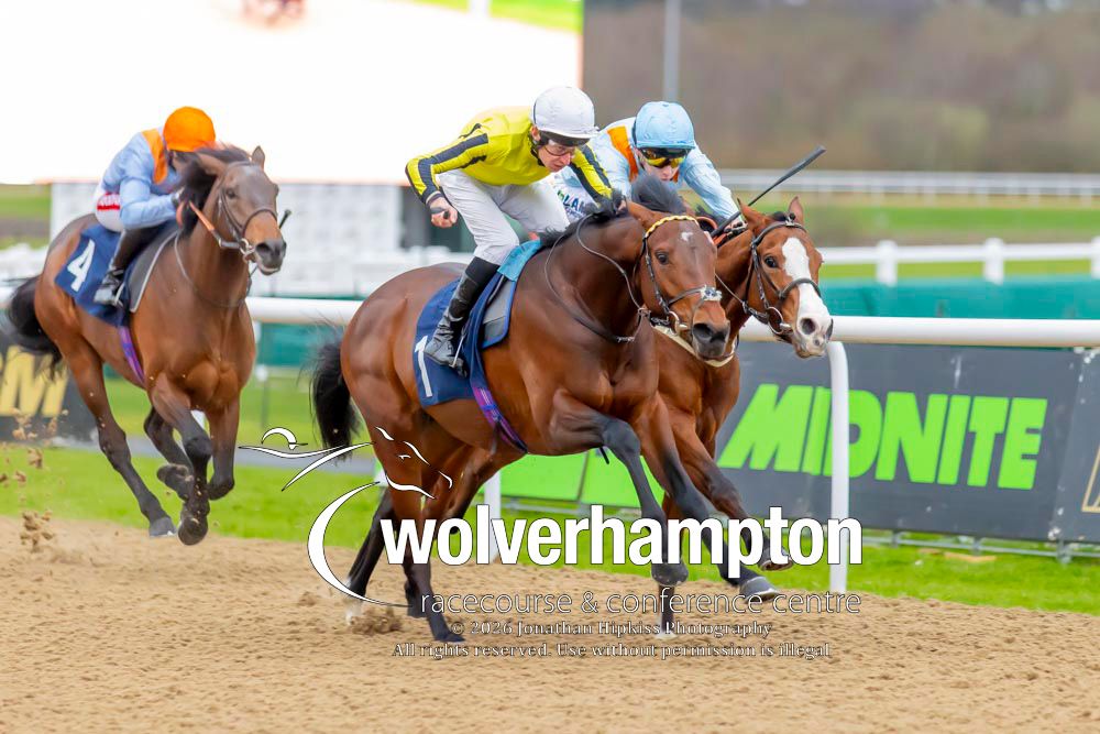 Wolverhampton Races tweet media