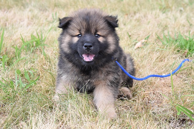 かんち＠握力おじさん。 @kanti990 tweet media