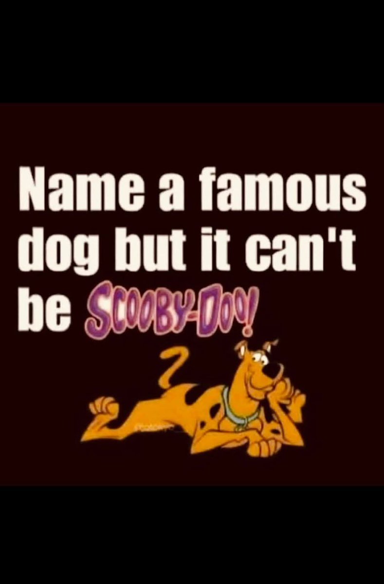 🇺🇸🌈 Pa🗽t🌊ricia🤟🏾! tweet media