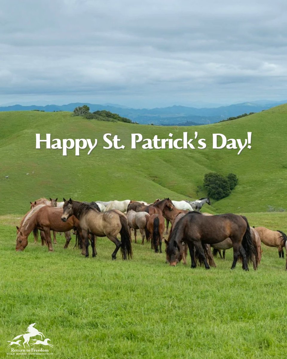 Return to Freedom tweet media