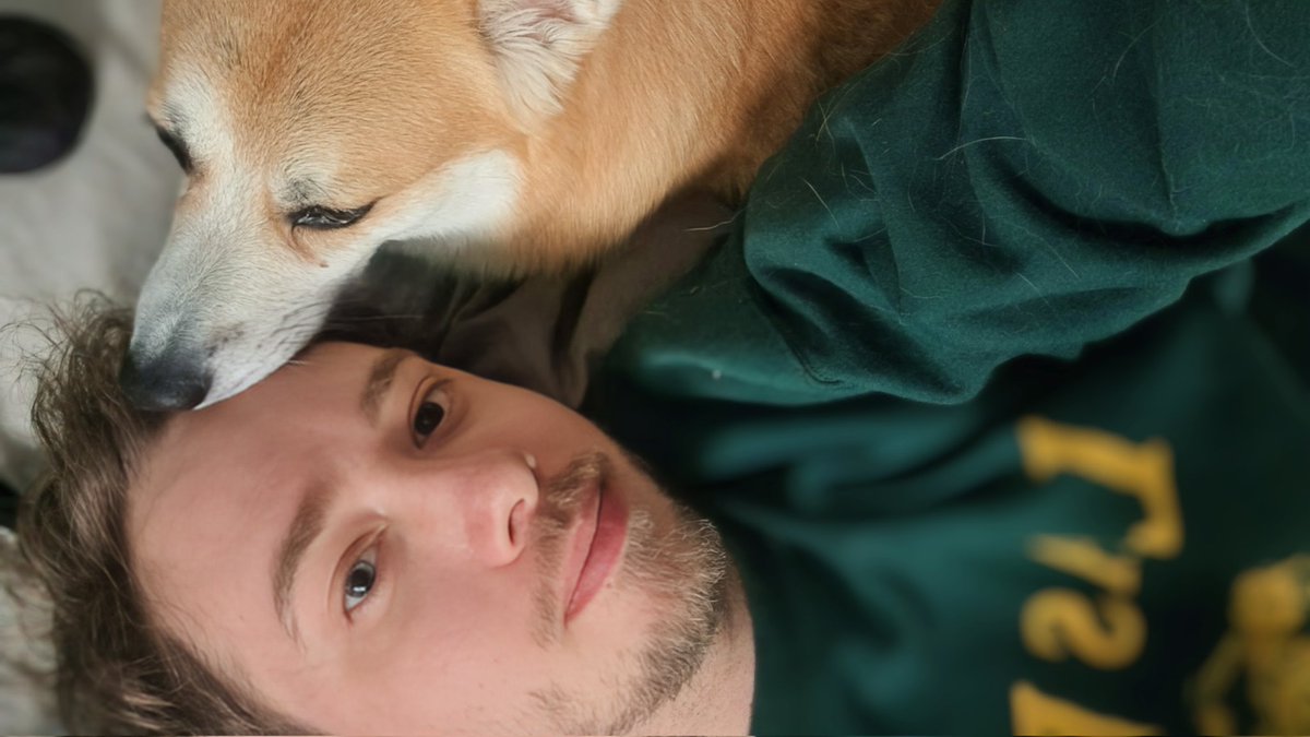 MortMort tweet media