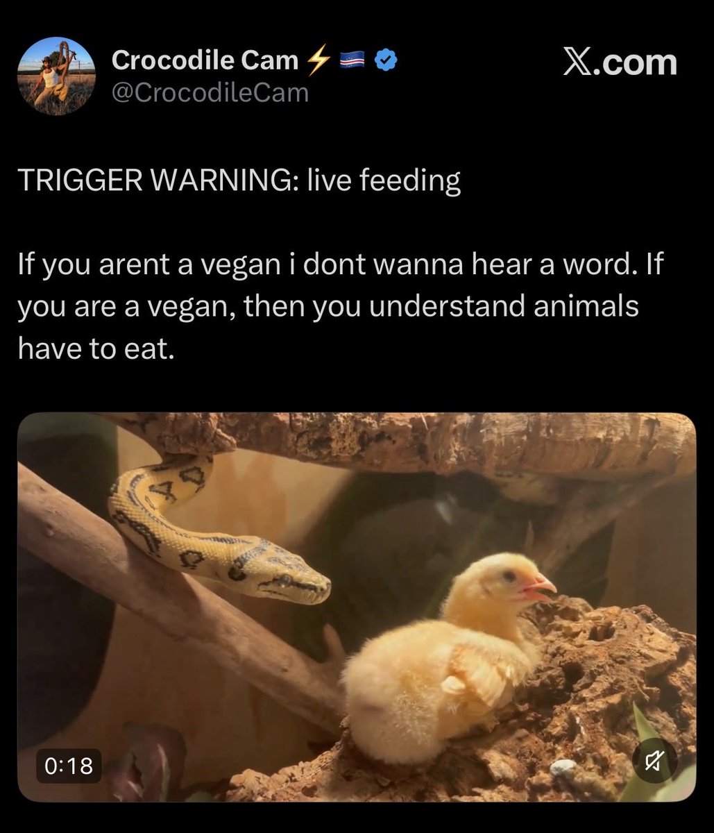 Vindicated Doomer 🇺🇳 tweet media