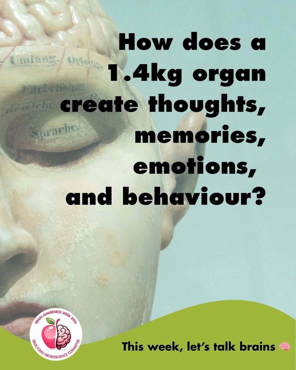 SRUK/CERU tweet media