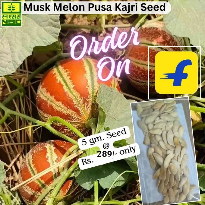 National Seeds Corporation Limited tweet media