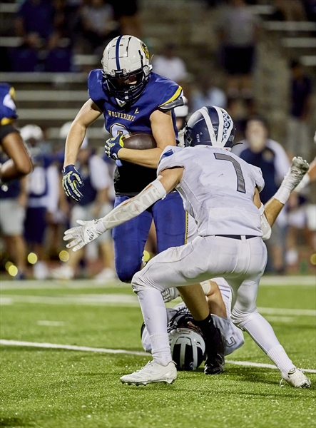 Gus Bailey tweet media