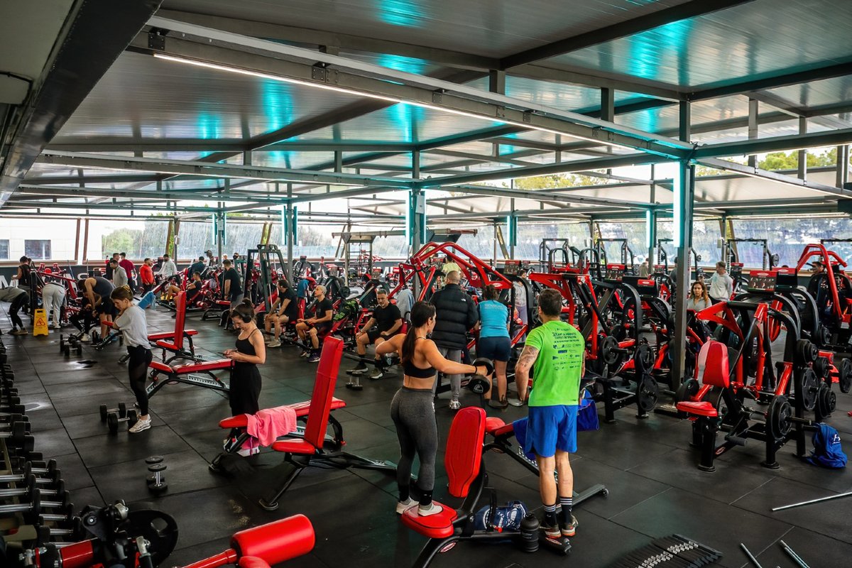 MegaSport tweet media