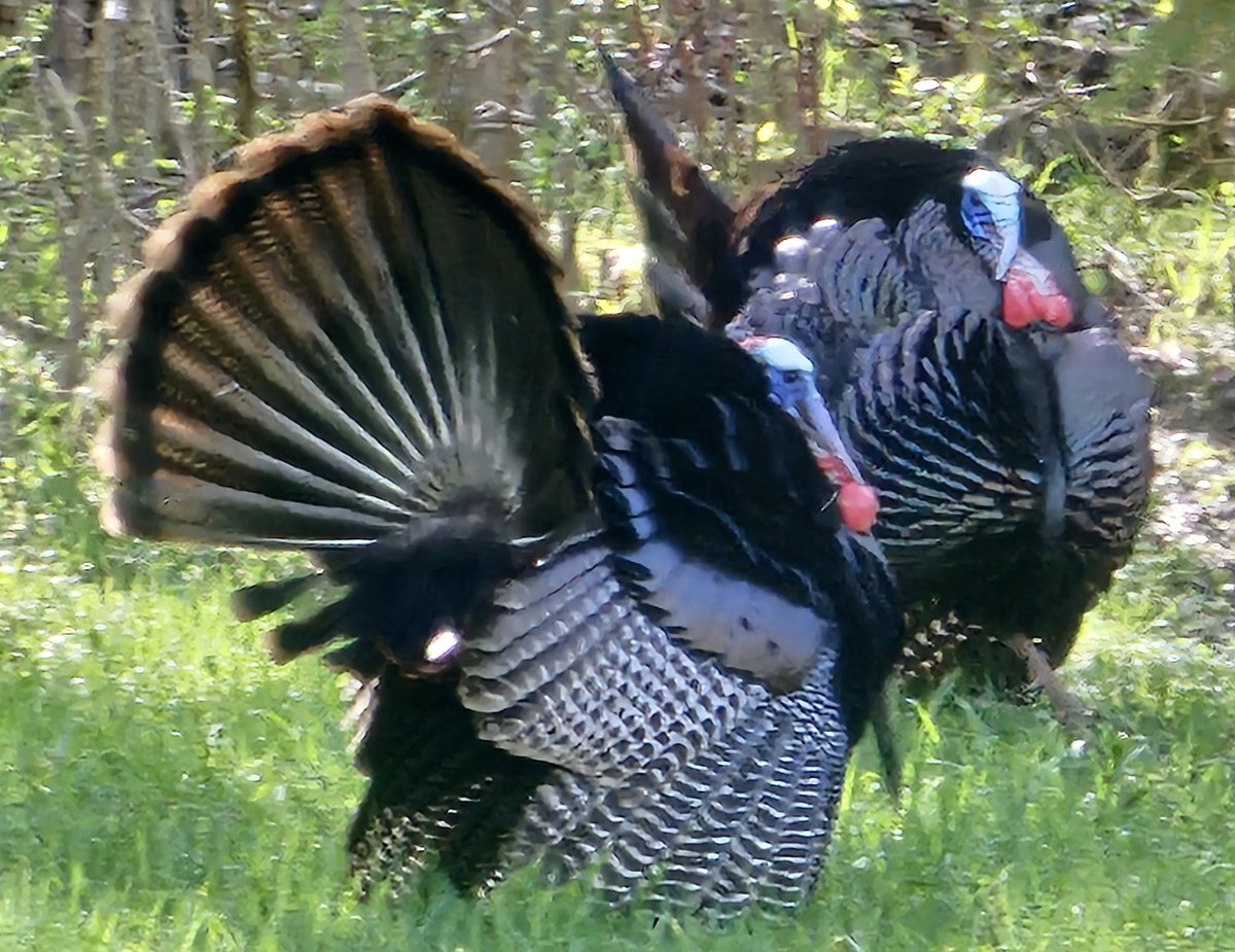 TheGeaze tweet media