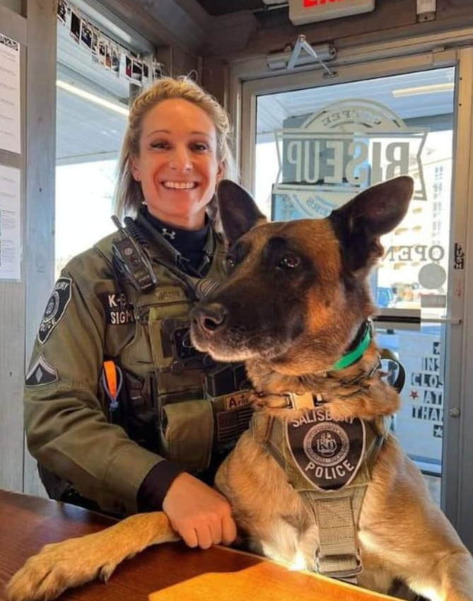 Tweets of Dogs tweet media