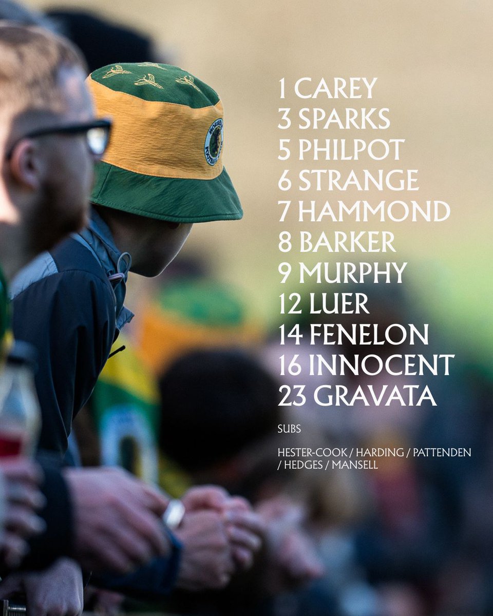 Horsham FC tweet media