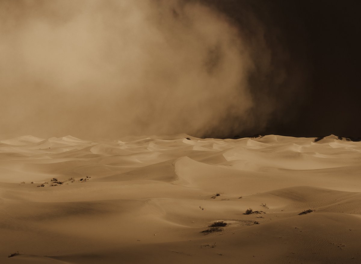 Jeff Mihaly tweet media